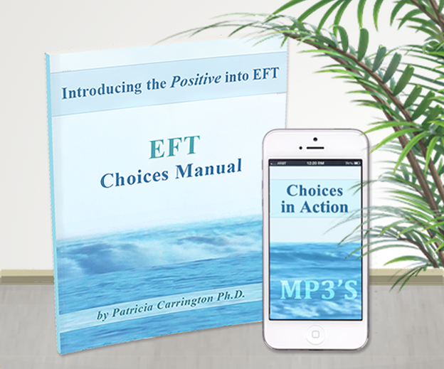 EFT Choices Combination