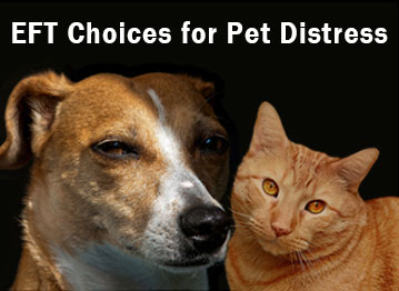 eft choices for pet distress, dog and cat