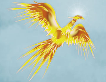 phoenix bird illustration