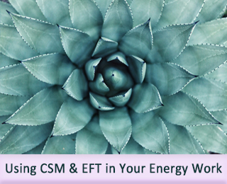 Coupling CSM & EFT in Your Energy Work