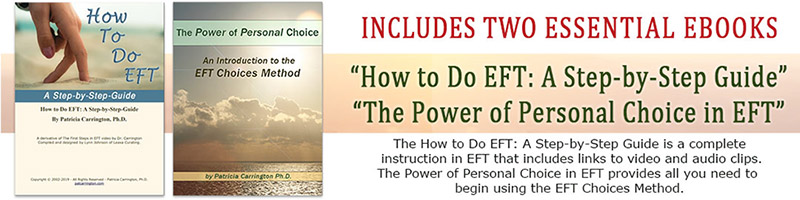 how to do eft step by step guide book power of personal choice in EFT banner