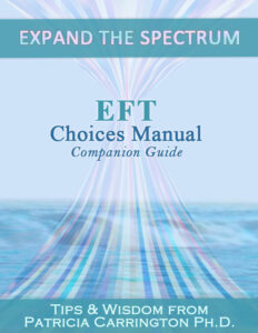 eft choices manual companion guide ebook cover