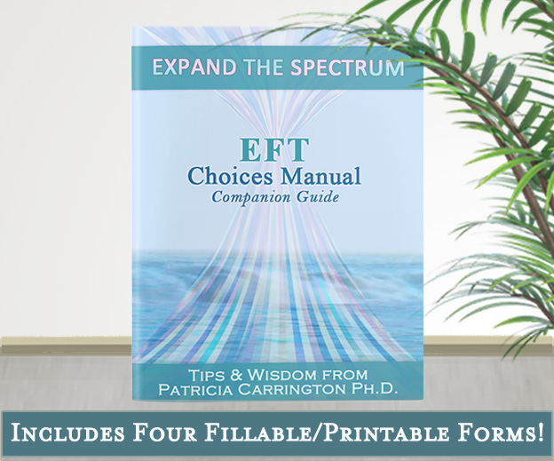 eft choices manual companion guide pdf